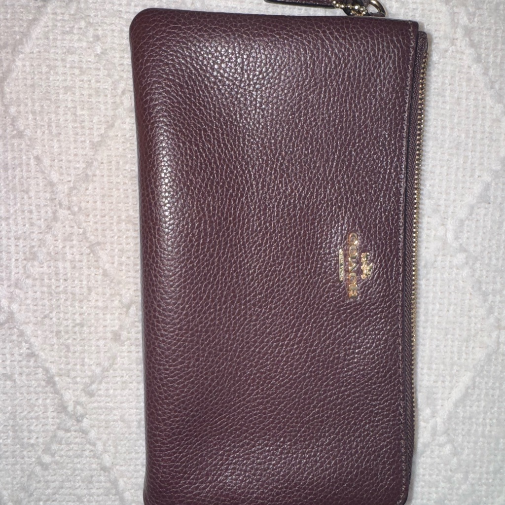 Coach Dark Brown Interior Bag